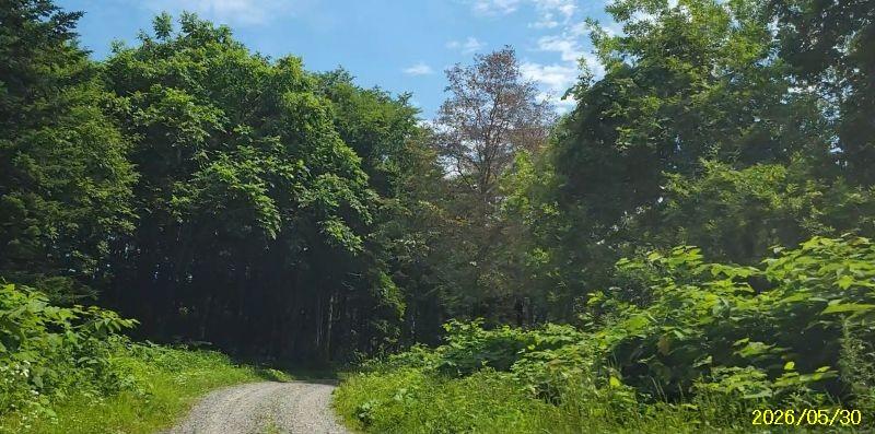 Land in Nokanan, Higashikawa – photo 5 of 12 – Higashikawa, Daisetsuzan Foothills, Hokkaido, Japan