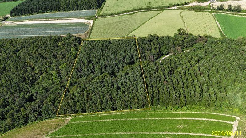 Land in Nokanan, Higashikawa – photo 8 of 12 – Higashikawa, Daisetsuzan Foothills, Hokkaido, Japan