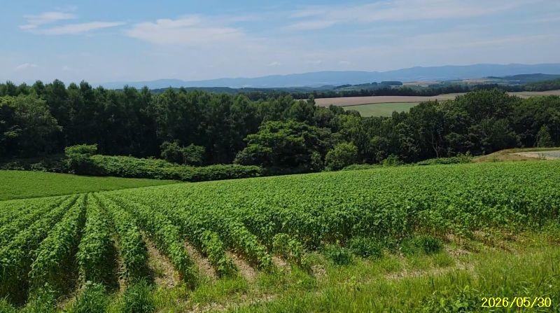 Land in Nokanan, Higashikawa – photo 10 of 12 – Higashikawa, Daisetsuzan Foothills, Hokkaido, Japan