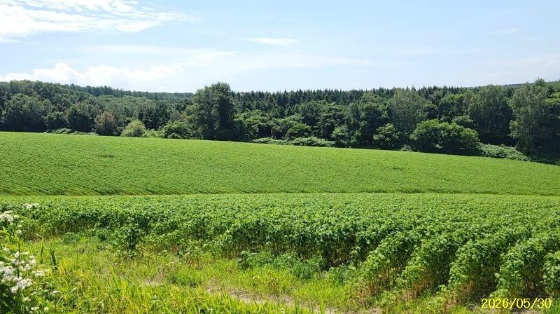 Land in Nokanan, Higashikawa – photo 11 of 12 – Higashikawa, Daisetsuzan Foothills, Hokkaido, Japan