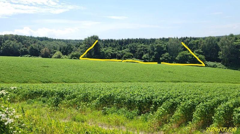 Land in Nokanan, Higashikawa – photo 12 of 12 – Higashikawa, Daisetsuzan Foothills, Hokkaido, Japan