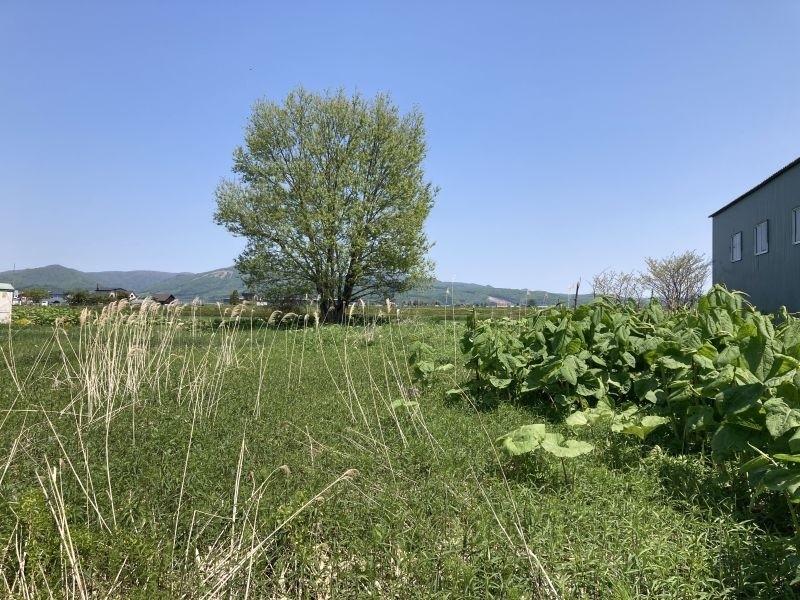 Land in Pippu – photo 11 of 21 – Pippu, Daisetsuzan Foothills, Hokkaido, Japan