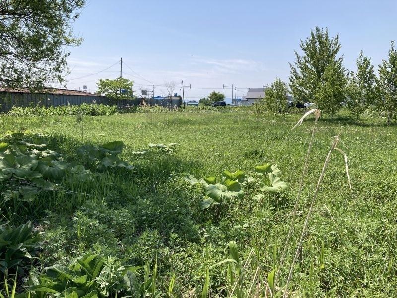 Land in Pippu – photo 13 of 21 – Pippu, Daisetsuzan Foothills, Hokkaido, Japan