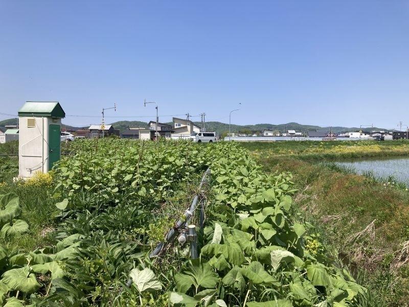 Land in Pippu – photo 14 of 21 – Pippu, Daisetsuzan Foothills, Hokkaido, Japan