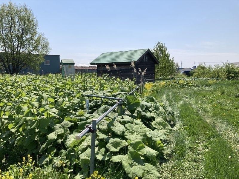 Land in Pippu – photo 21 of 21 – Pippu, Daisetsuzan Foothills, Hokkaido, Japan