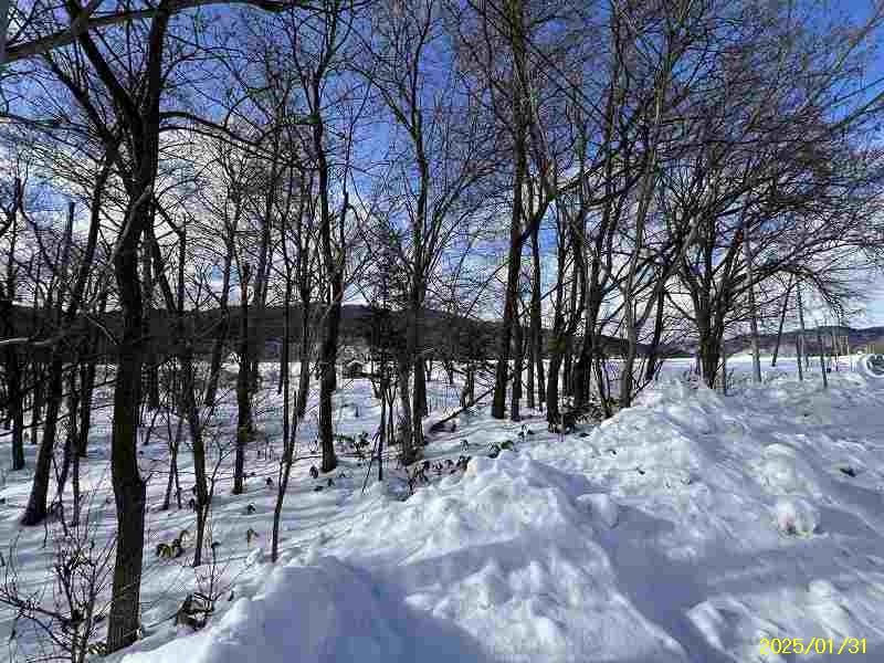 Land in Shimokanayama, Minamifurano – photo 6 of 7 – Minamifurano, Furano Basin, Hokkaido, Japan