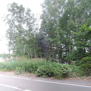 Land in Shunkōdai, Asahikawa