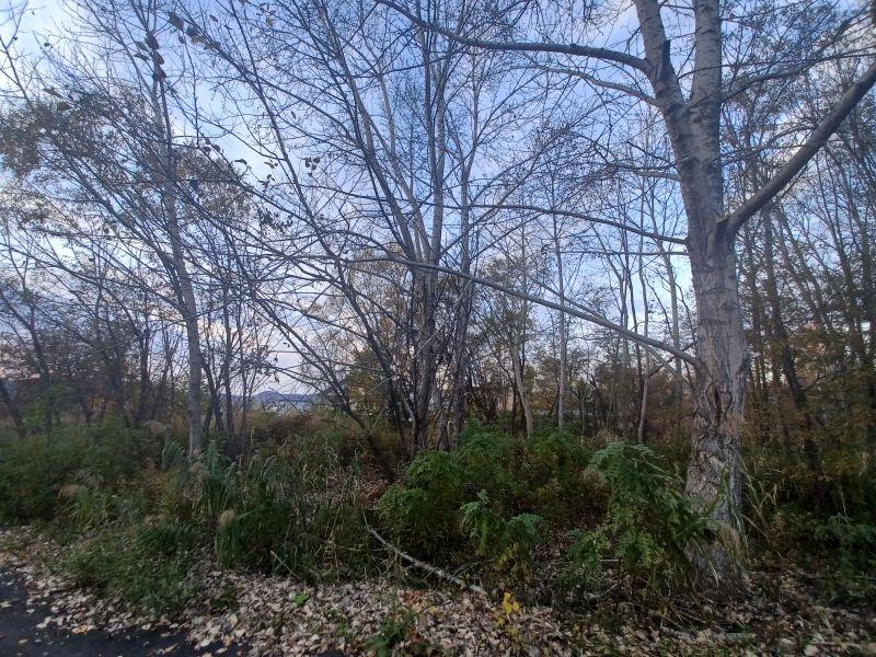Land in Shunkodai, Asahikawa – photo 2 of 10 – Asahikawa, Asahikawa, Hokkaido, Japan