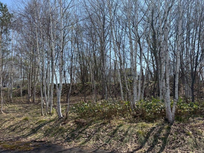 Land in Shunkōdai, Asahikawa – photo 4 of 5 – Asahikawa, Asahikawa, Hokkaido, Japan