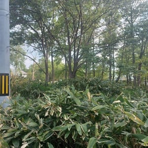 Land in Shunkodai, Asahikawa