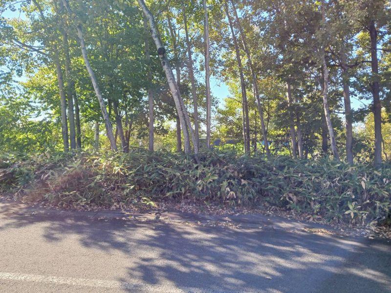 Land in Shunkōdai, Asahikawa – Asahikawa, Asahikawa, Hokkaido, Japan