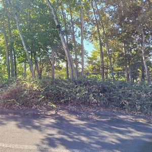 Land in Shunkōdai, Asahikawa