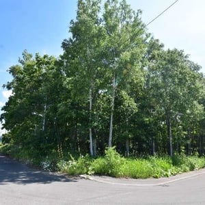Land in Shunkodai, Asahikawa