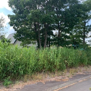 Land in Shunkōdai, Asahikawa