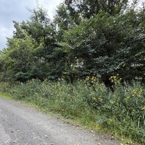 Land in Shunkodai, Asahikawa