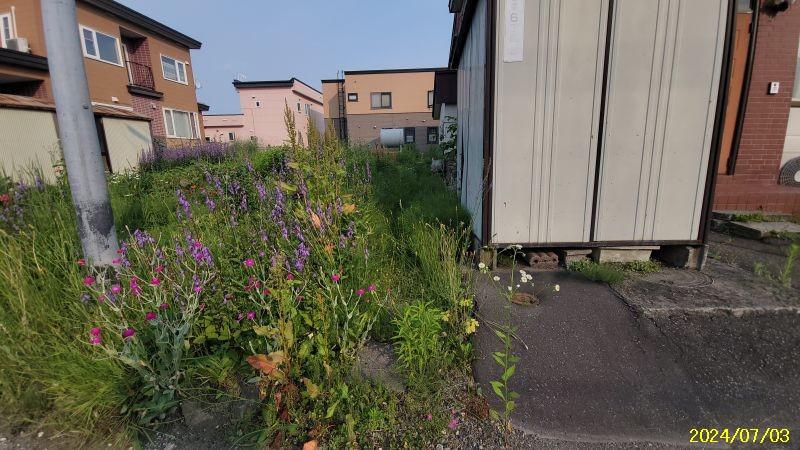 Land in Suehiro, Asahikawa – photo 13 of 16 – Asahikawa, Asahikawa, Hokkaido, Japan
