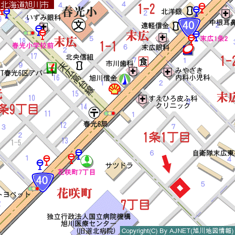 Land in Suehiro Higashi, Asahikawa – photo 3 of 3 – Asahikawa, Asahikawa, Hokkaido, Japan