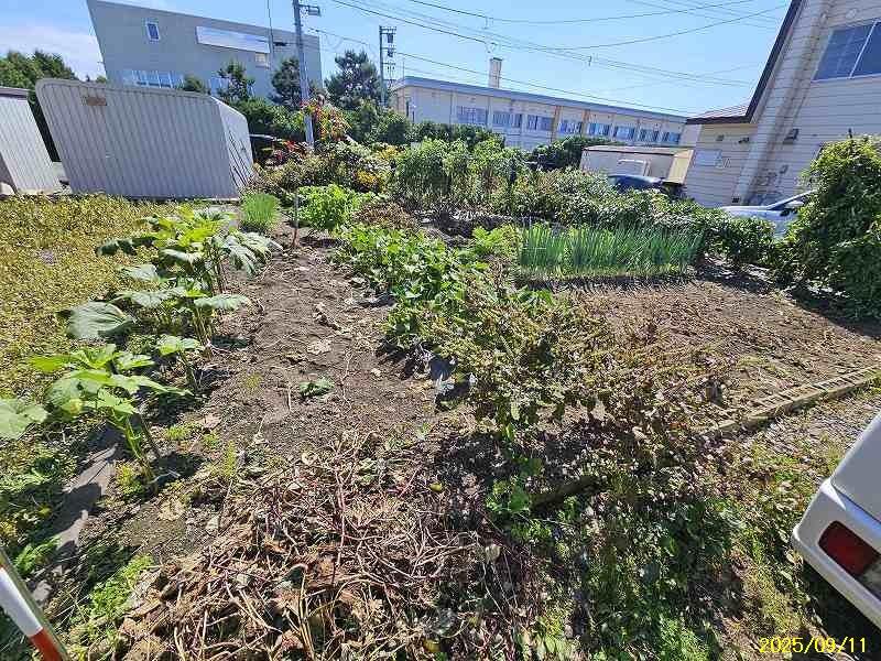 Land in Suehiro Higashi, Asahikawa – photo 8 of 8 – Asahikawa, Asahikawa, Hokkaido, Japan