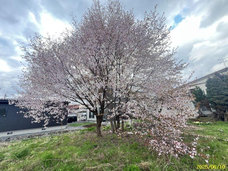 Land in Suehiro Higashi, Asahikawa – photo 12 of 13 – Asahikawa, Asahikawa, Hokkaido, Japan