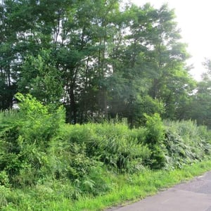 Land in Takasagodai, Asahikawa