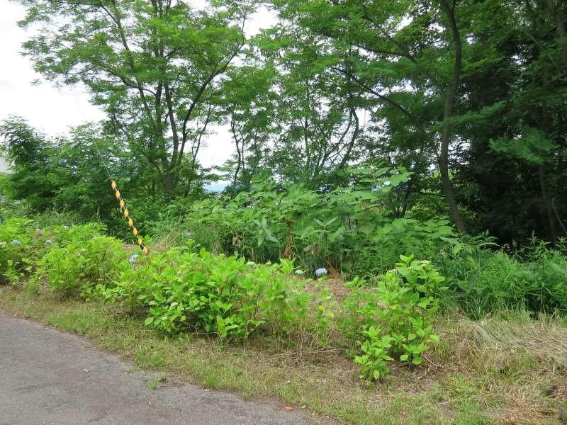 Land in Takasagodai, Asahikawa – photo 2 of 3 – Asahikawa, Asahikawa, Hokkaido, Japan