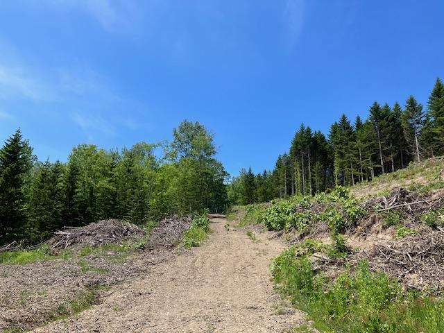 Land in Takasu – Takasu, Asahikawa, Hokkaido, Japan