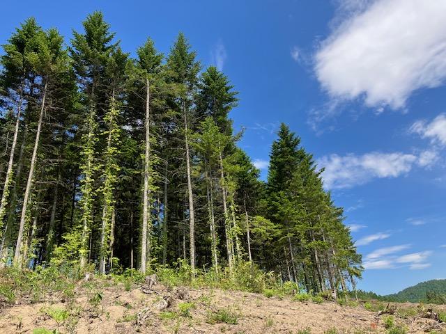 Land in Takasu – photo 5 of 11 – Takasu, Asahikawa, Hokkaido, Japan
