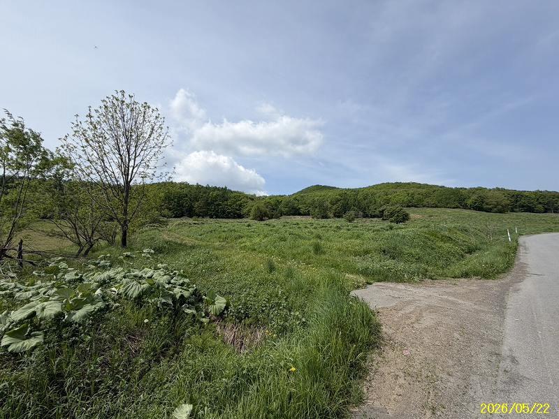 Land in Toma – photo 5 of 6 – Toma, Kamikawa, Hokkaido, Japan