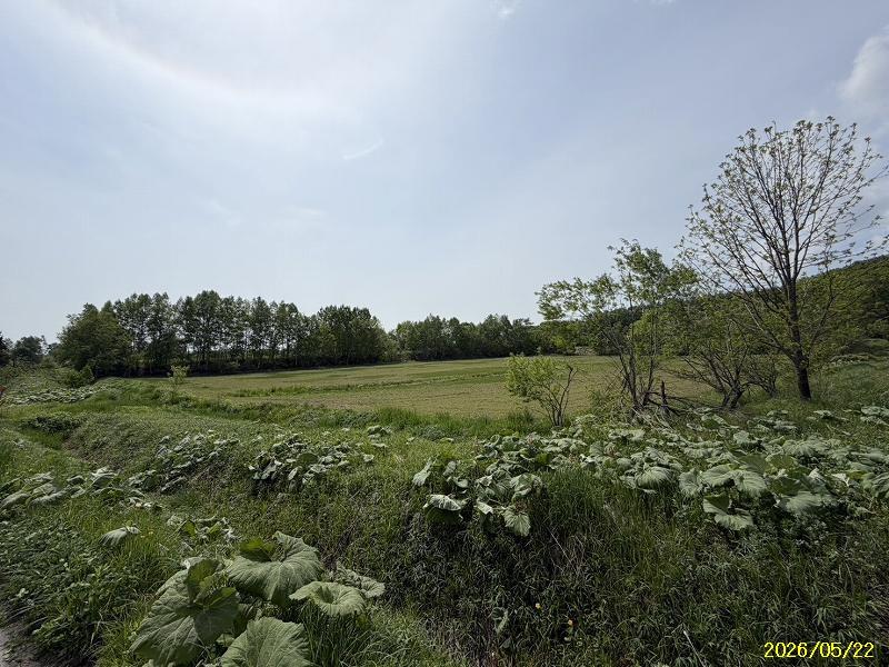 Land in Toma – photo 6 of 6 – Toma, Kamikawa, Hokkaido, Japan