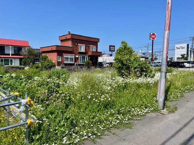Land in Toyooka, Asahikawa – photo 5 of 7 – Asahikawa, Asahikawa, Hokkaido, Japan