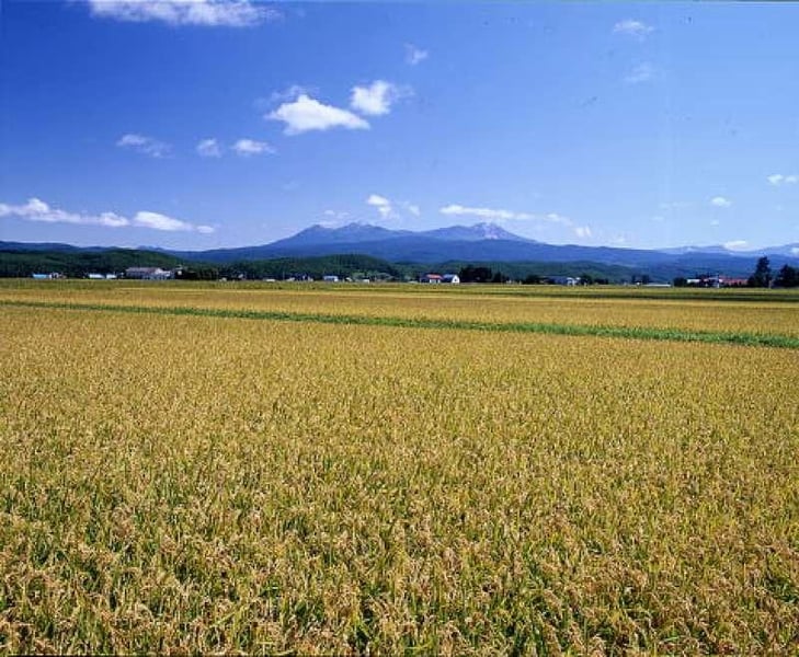 Land in Uenbetsu, Toma – photo 8 of 8 – Toma, Daisetsuzan Foothills, Hokkaido, Japan