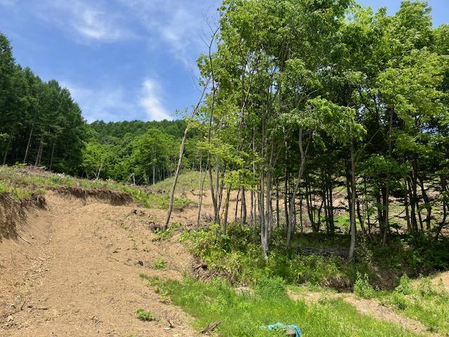 Land in Yakeyama, Sunagawa – photo 4 of 9 – Sunagawa, Hokkaido, Hokkaido, Japan