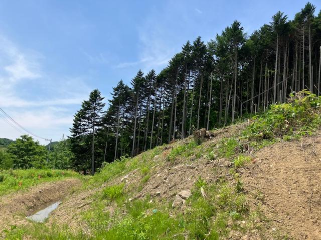 Land in Yakeyama, Sunagawa – photo 5 of 9 – Sunagawa, Hokkaido, Hokkaido, Japan