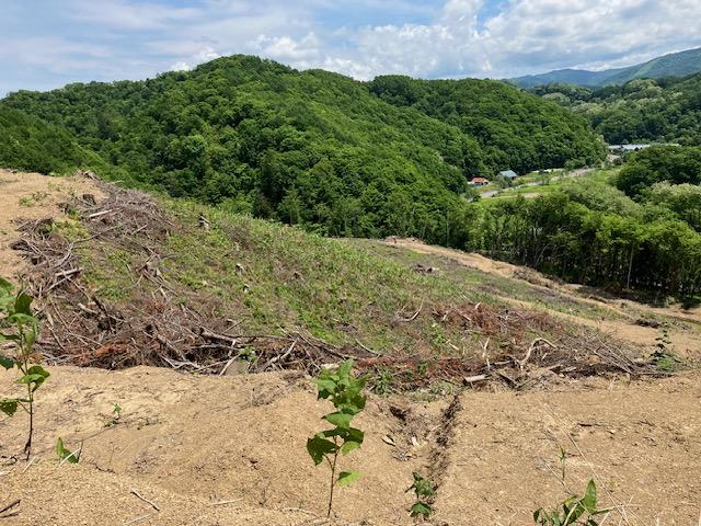Land in Yakeyama, Sunagawa – photo 6 of 9 – Sunagawa, Hokkaido, Hokkaido, Japan