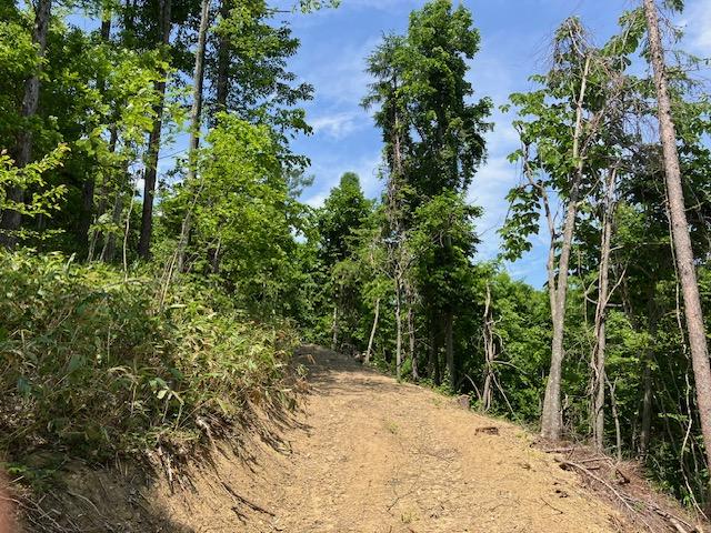 Land in Yakeyama, Sunagawa – photo 7 of 9 – Sunagawa, Hokkaido, Hokkaido, Japan