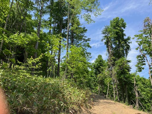 Land in Yakeyama, Sunagawa – photo 8 of 9 – Sunagawa, Hokkaido, Hokkaido, Japan