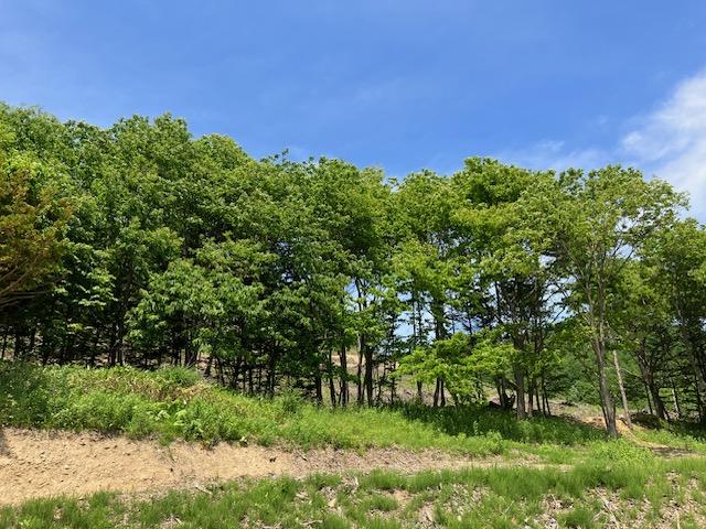 Land in Yakeyama, Sunagawa – photo 9 of 9 – Sunagawa, Hokkaido, Hokkaido, Japan