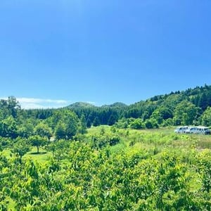 Land in Yamabe, Furano