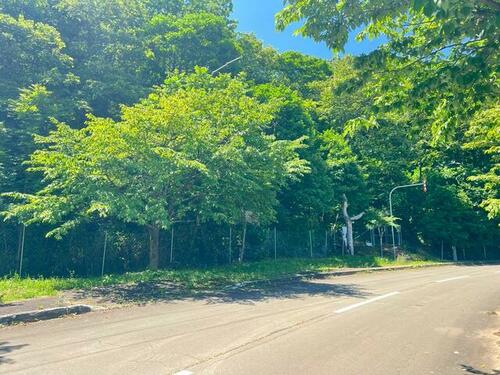 Land in Yamabe, Furano – photo 6 of 6 – Furano, Furano Basin, Hokkaido, Japan