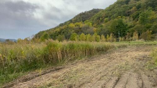 Land in Yamabe, Furano – photo 5 of 15 – Furano, Furano Basin, Hokkaido, Japan
