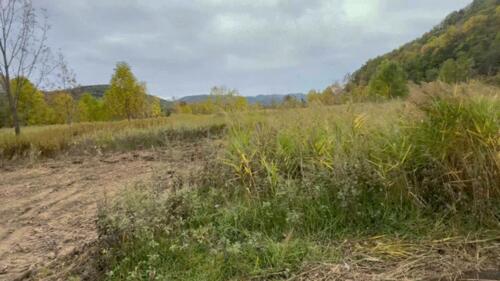 Land in Yamabe, Furano – photo 8 of 15 – Furano, Furano Basin, Hokkaido, Japan