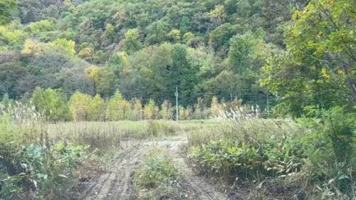 Land in Yamabe, Furano – photo 9 of 15 – Furano, Furano Basin, Hokkaido, Japan