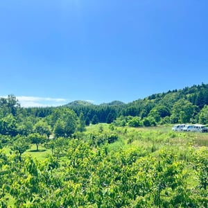 Land in Yamabe, Furano