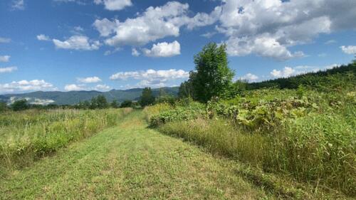 Land in Yamabe, Furano – photo 6 of 6 – Furano, Furano Basin, Hokkaido, Japan