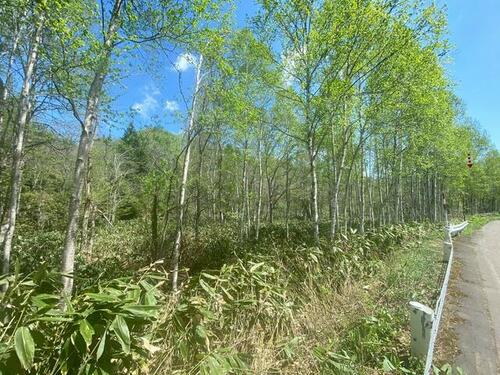 Land in Yunai, Fukagawa – photo 3 of 15 – Fukagawa, Asahikawa, Hokkaido, Japan