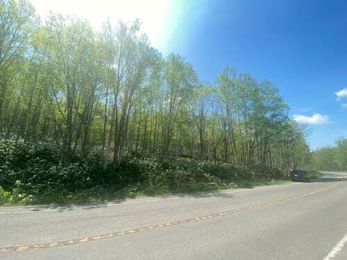 Land in Yunai, Fukagawa – photo 5 of 15 – Fukagawa, Asahikawa, Hokkaido, Japan