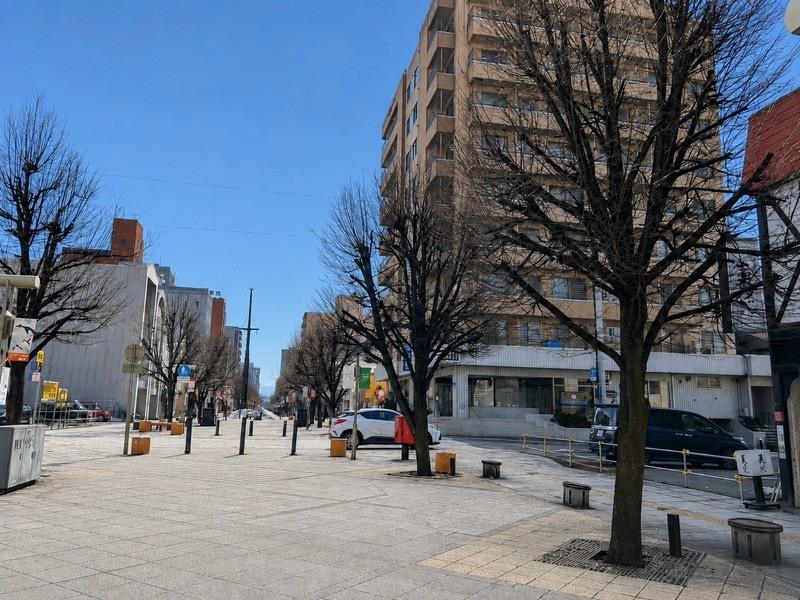 Property in 8 Jōdōri, Asahikawa – photo 5 of 5 – Asahikawa, Asahikawa, Hokkaido, Japan