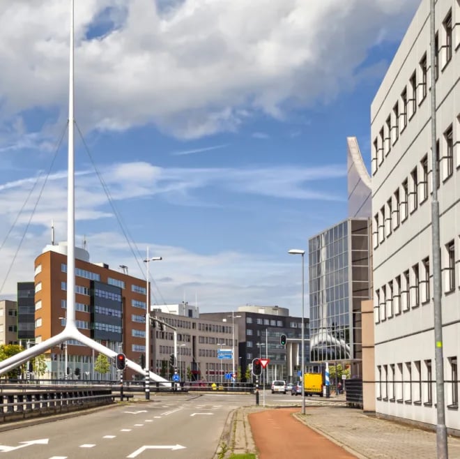 Traineeship thuisgeven background