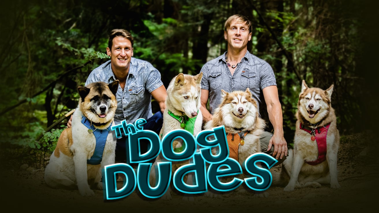 The Dog Dudes: Pack Power