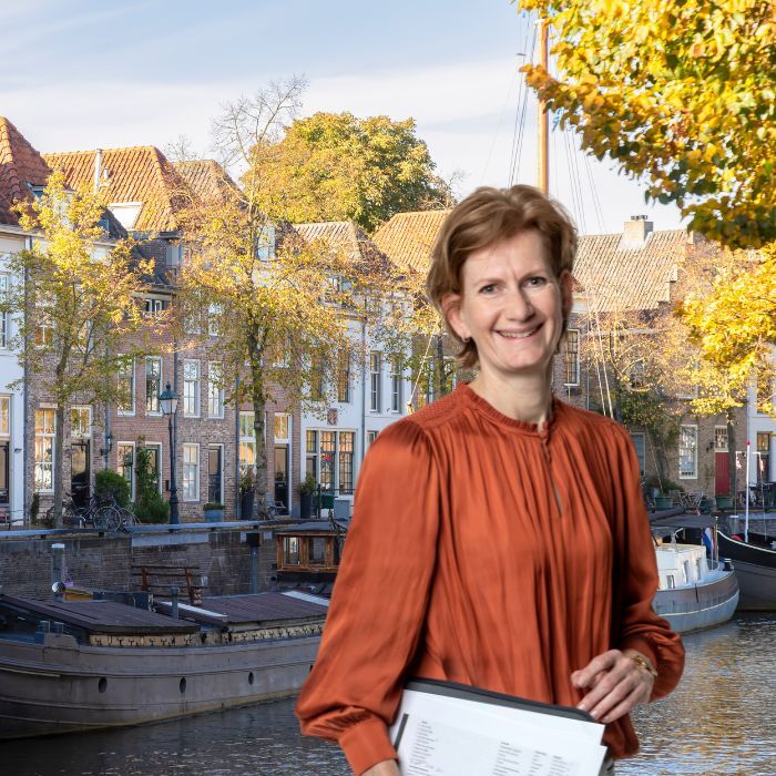 Projectontwikkelaar story